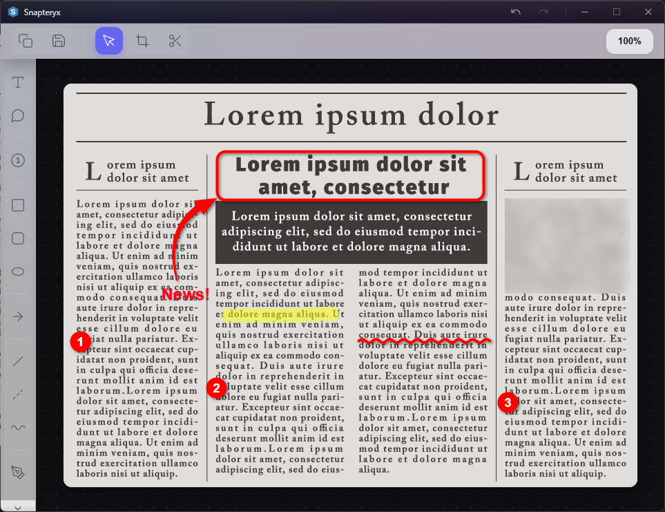 Snapteryx Application Interface